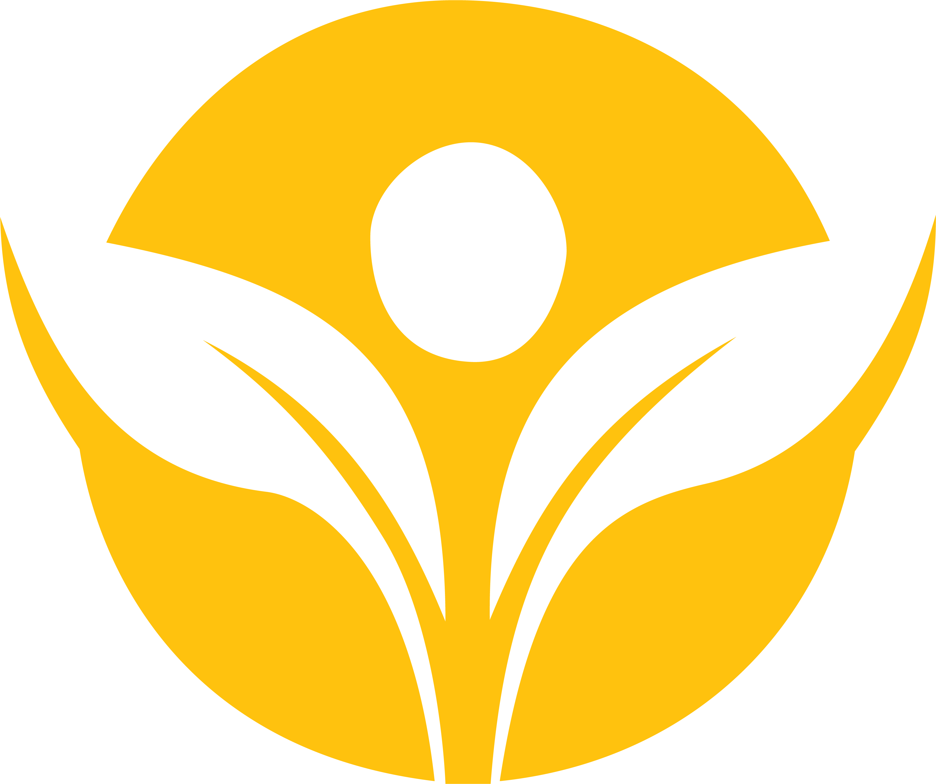 TDRF Logo - Yellow